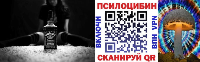 закладки  Тавда  Псилоцибиновые грибы MAGIC MUSHROOMS 